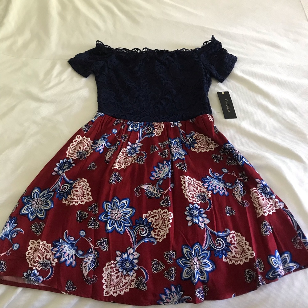 NWT Lace Off Shoulder Dress